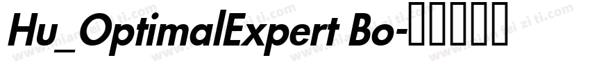 Hu_OptimalExpert Bo字体转换